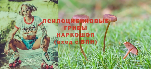 наркотики Дмитриев