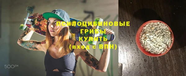 apvp Дмитровск