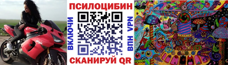 Галлюциногенные грибы мицелий  Купить  Сусуман 